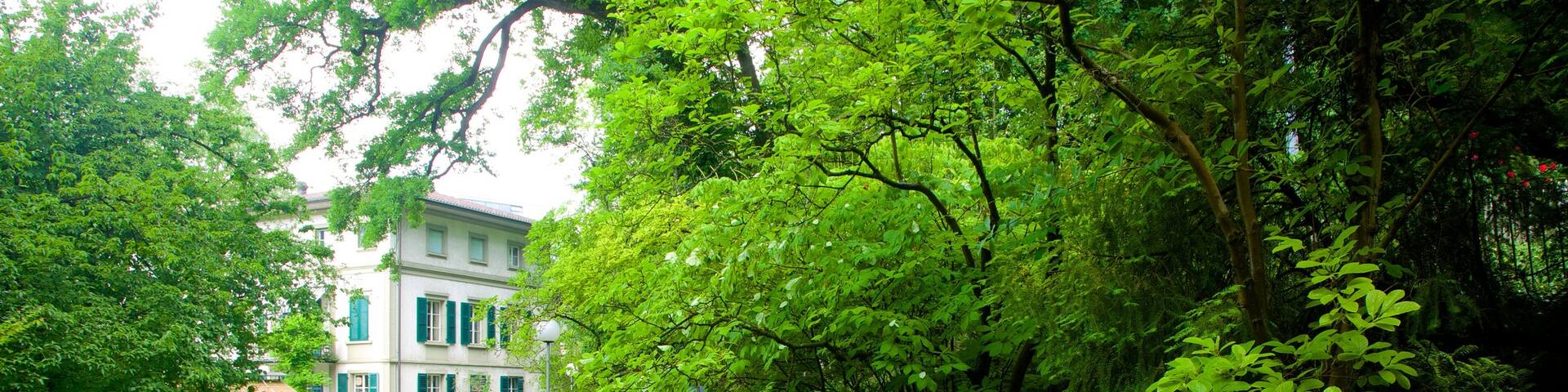 Botanical Garden which includes street scenes and tropical scenes