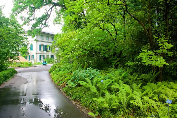 Botanical Garden og byder på tropiske områder og gadeliv