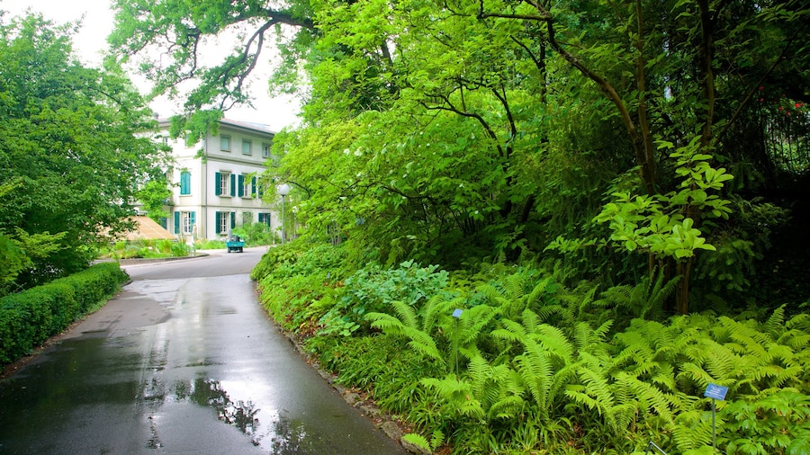 Botanical Garden which includes street scenes and tropical scenes