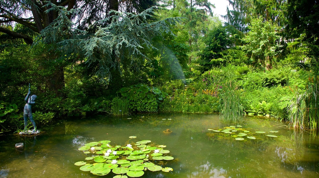 Botanical Garden featuring a park and a pond