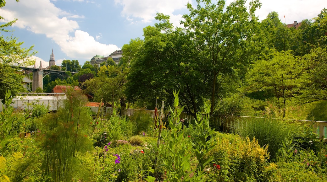 Jardin botanique montrant parc