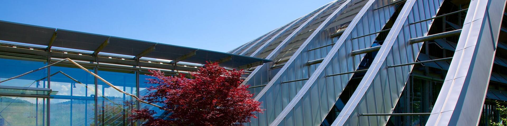 Paul Klee Museum featuring modern architecture