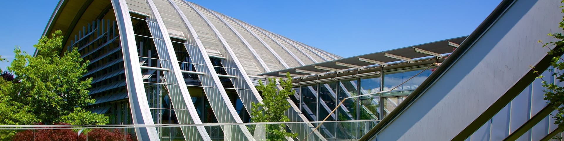Musée Paul Klee mettant en vedette architecture moderne