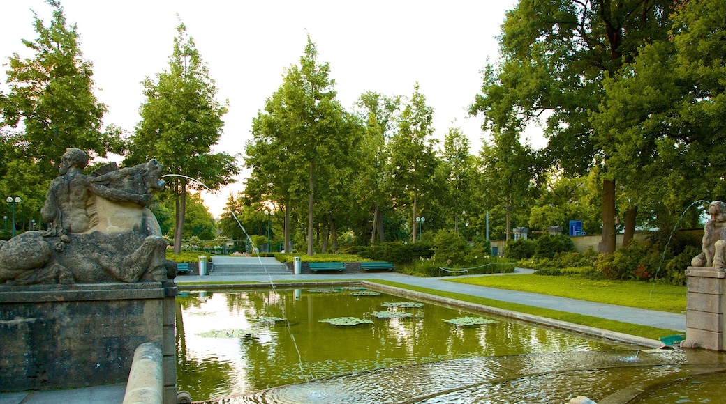 Bern Rose Garden showing a garden, a fountain and a pond