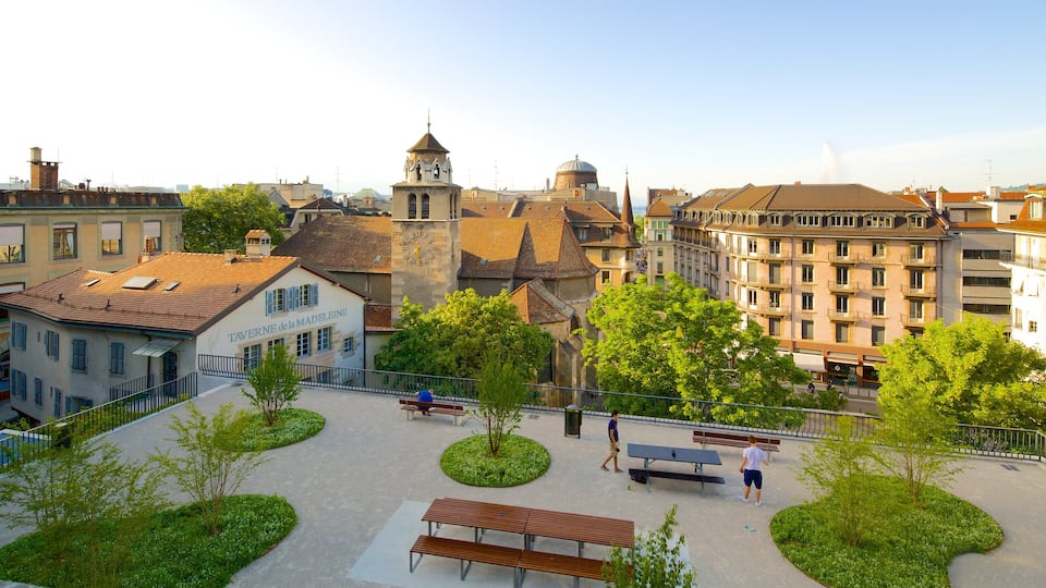 Genève toont een tuin en een stad