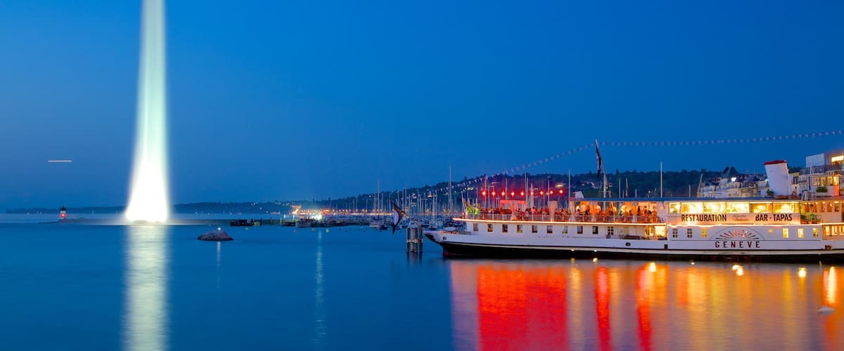Jet d\'eau qui includes fontaine, lac ou étang et scènes de nuit