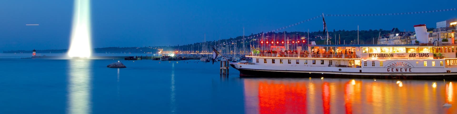 Jet d\'Eau Fountain which includes a lake or waterhole, a fountain and night scenes