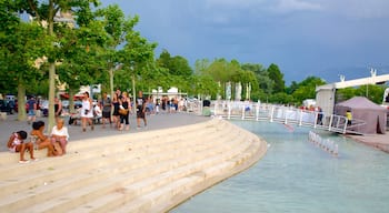 Lausanne featuring a square or plaza and a pond as well as a large group of people