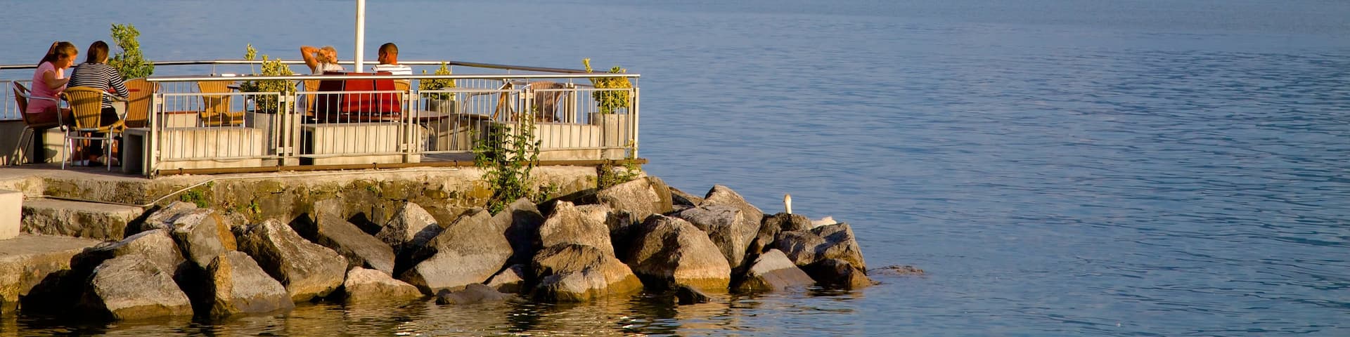 Vevey showing a lake or waterhole and outdoor eating