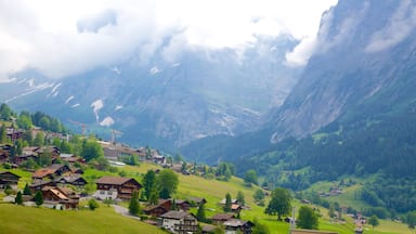 Grindelwald which includes a small town or village, farmland and landscape views