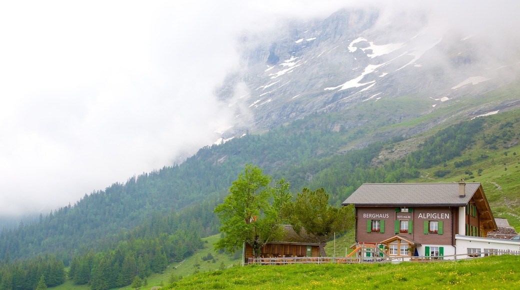 Grindelwald featuring farmland, mist or fog and a house