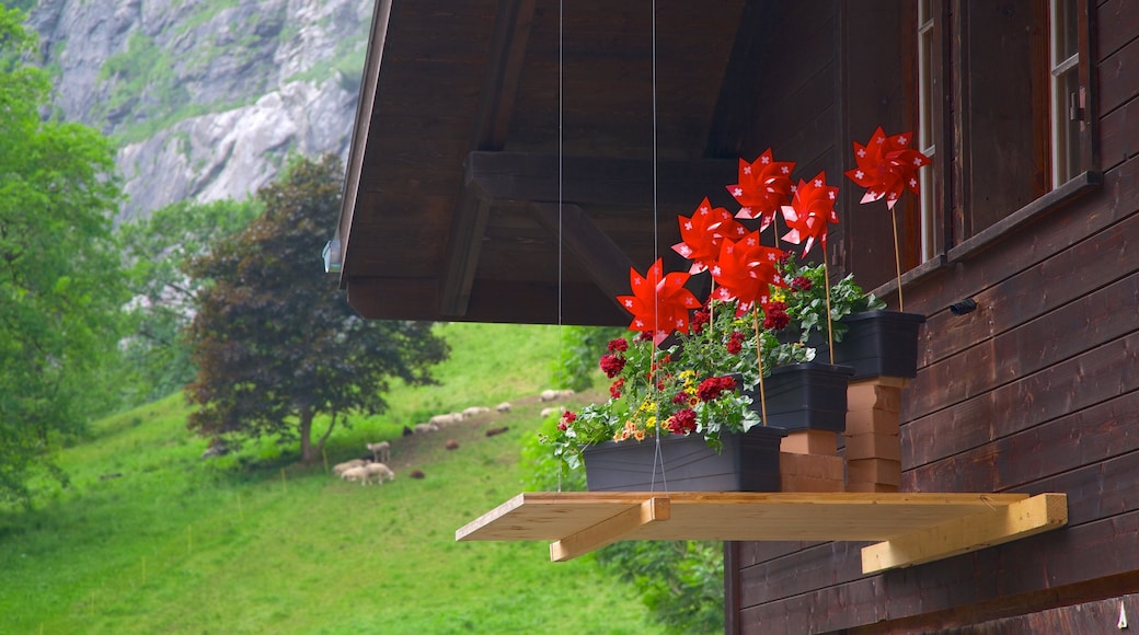 Lauterbrunnen que inclui flores e uma casa