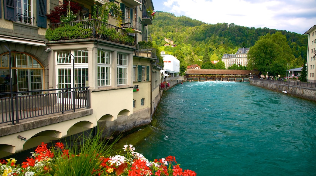 Thun which includes a house, a river or creek and flowers