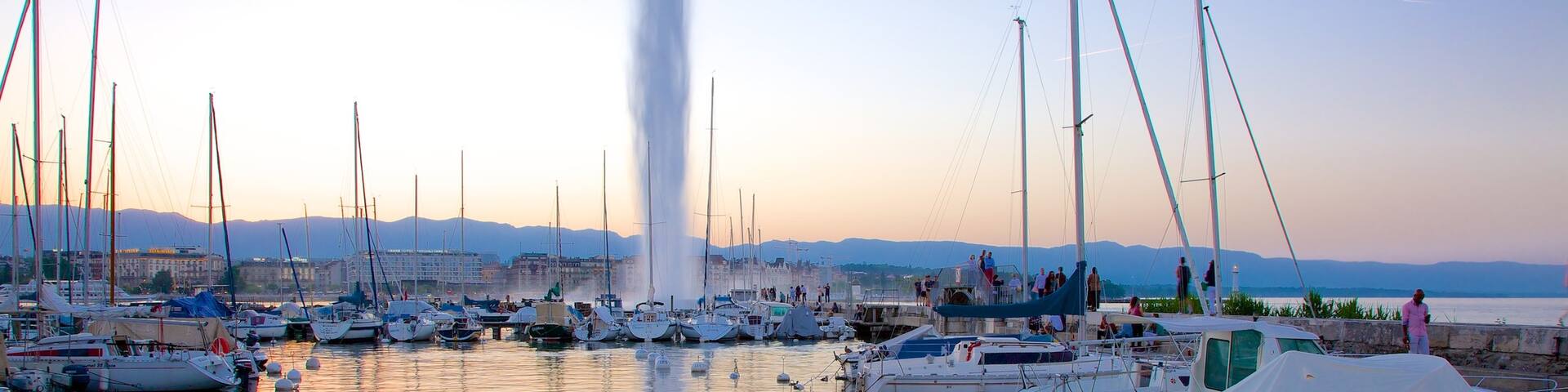 Jet d\'Eau Fountain showing boating, a fountain and a marina