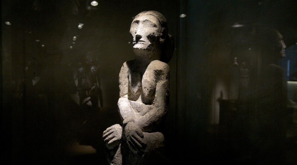 Barbier-Mueller Archeology Museum showing a statue or sculpture and interior views