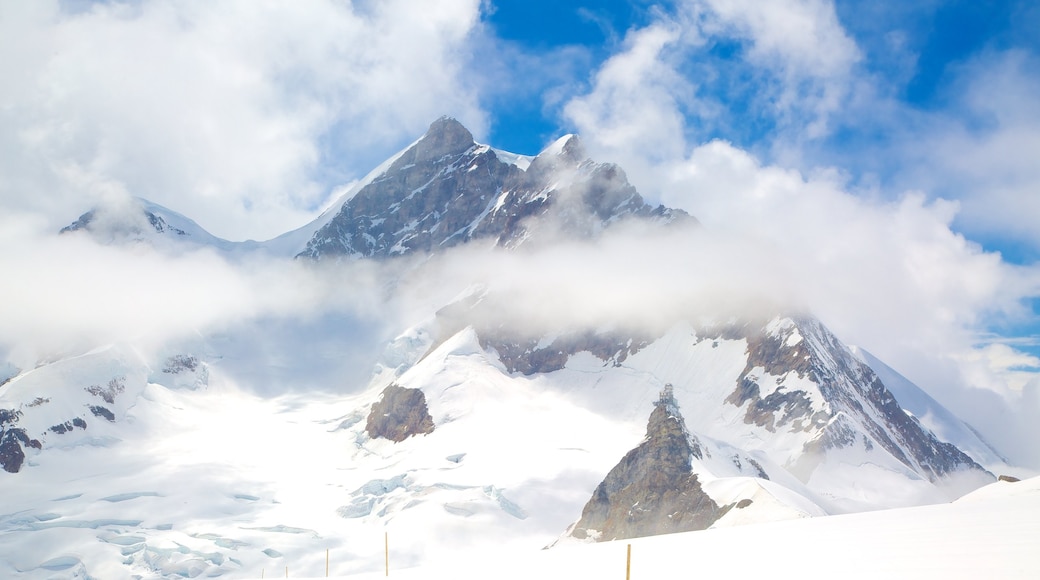 Jungfraujoch showing mountains and snow