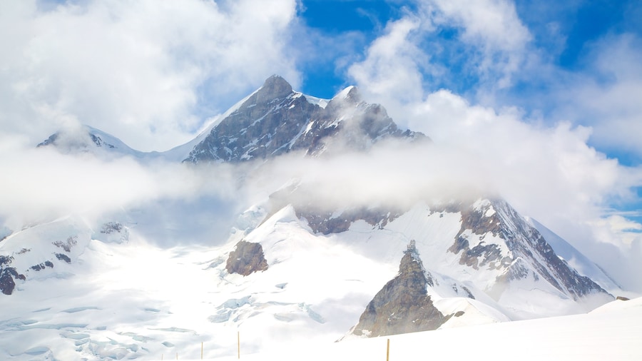 Jungfraujoch showing mountains and snow