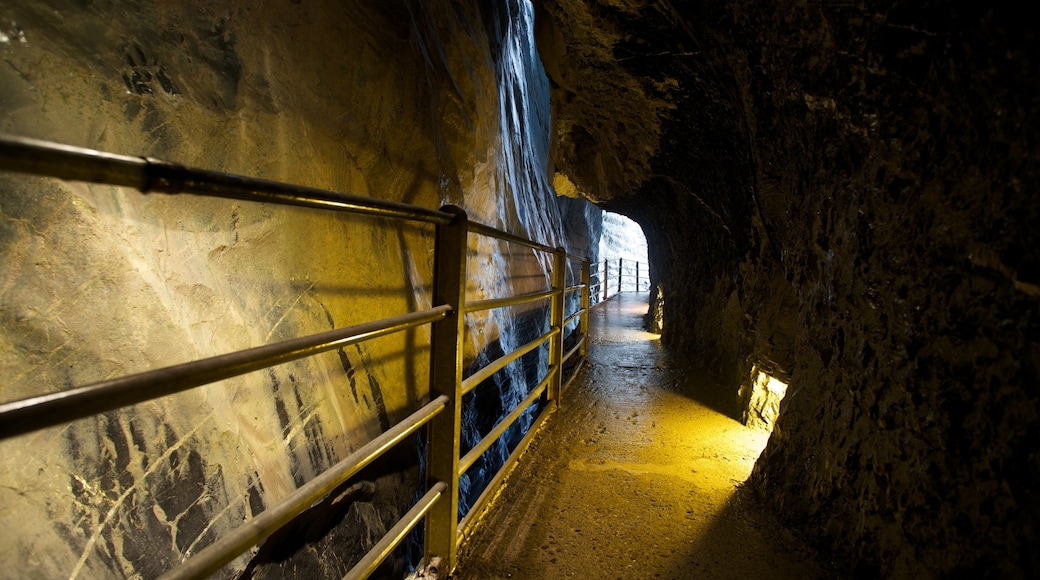 Trummelbach Falls featuring caves and interior views