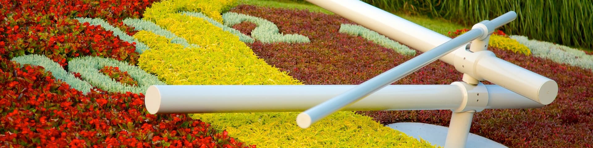 Flower Clock which includes flowers and outdoor art