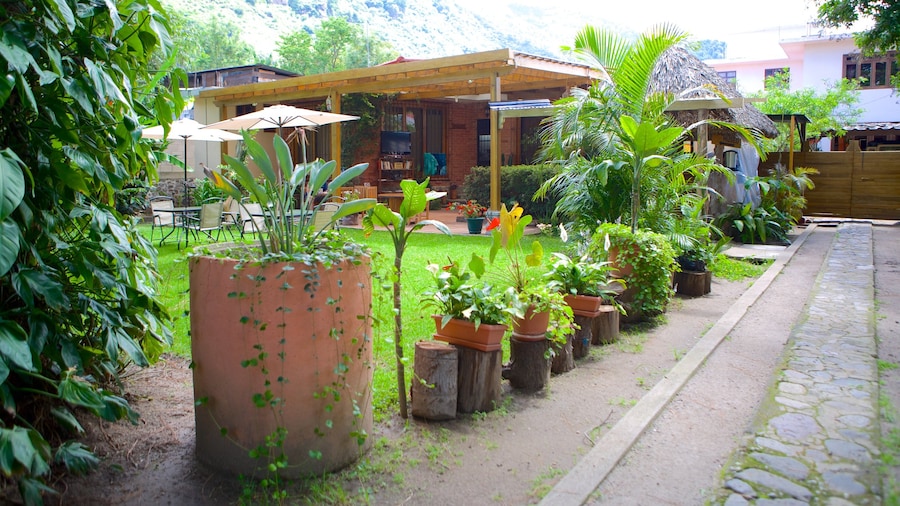 Lake Atitlan showing a garden