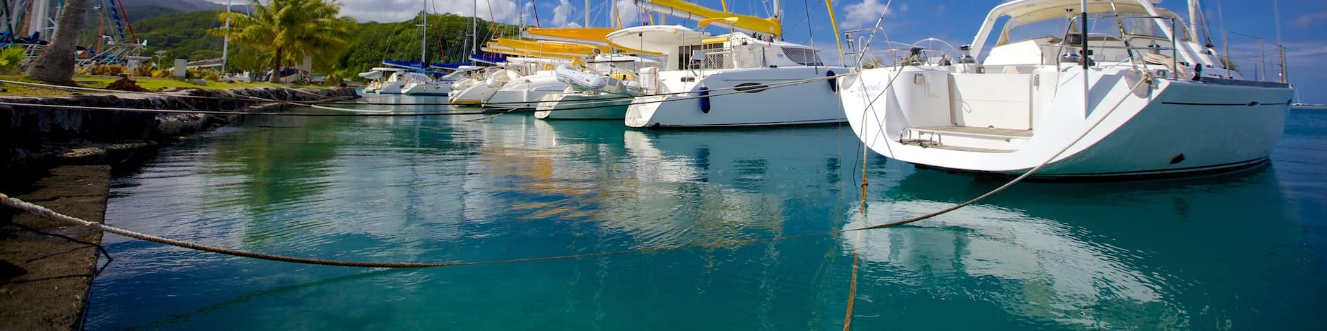 Tahiti featuring tropical scenes, sailing and a bay or harbor