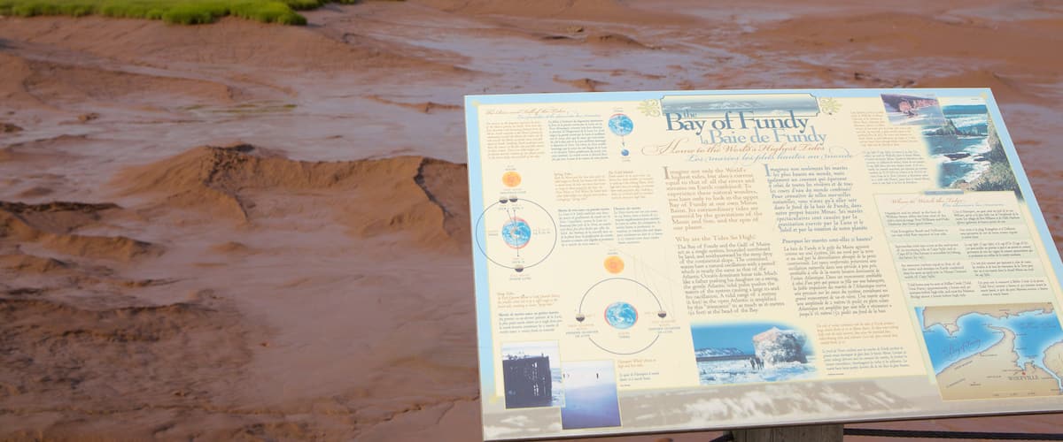 Wolfville som inkluderar stillsam natur och skyltar