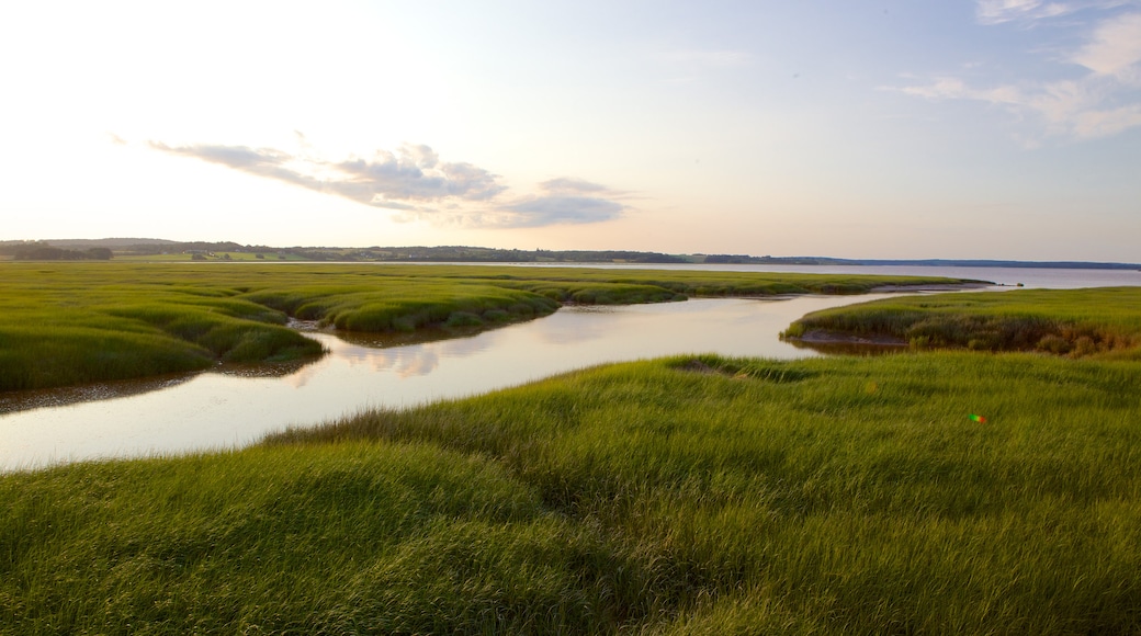 Wolfville which includes landscape views and a river or creek