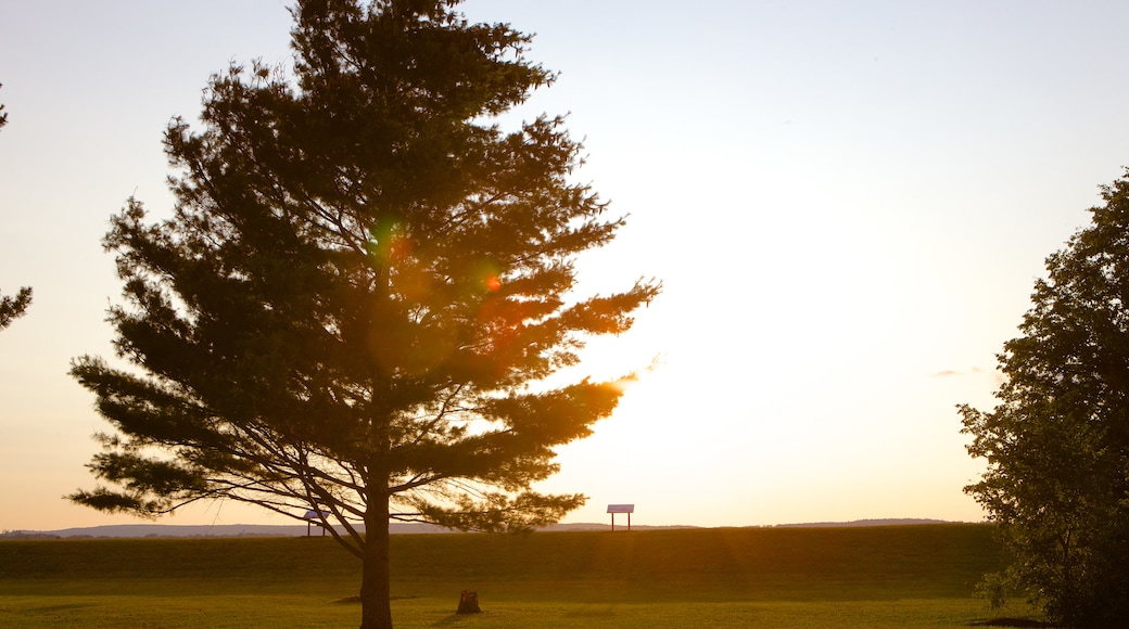 Wolfville which includes a sunset