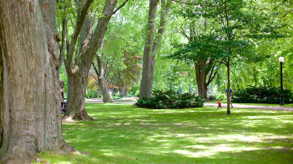 Kitchener que incluye un jardín
