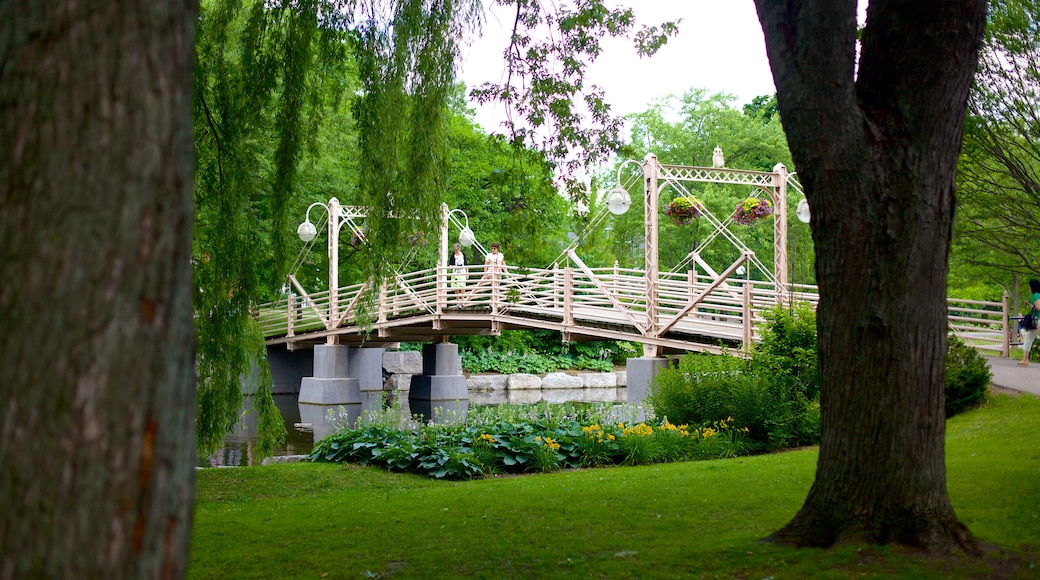 Kitchener montrant un parc et un pont