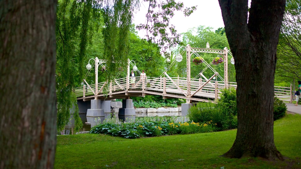 Kitchener que incluye un puente y un parque