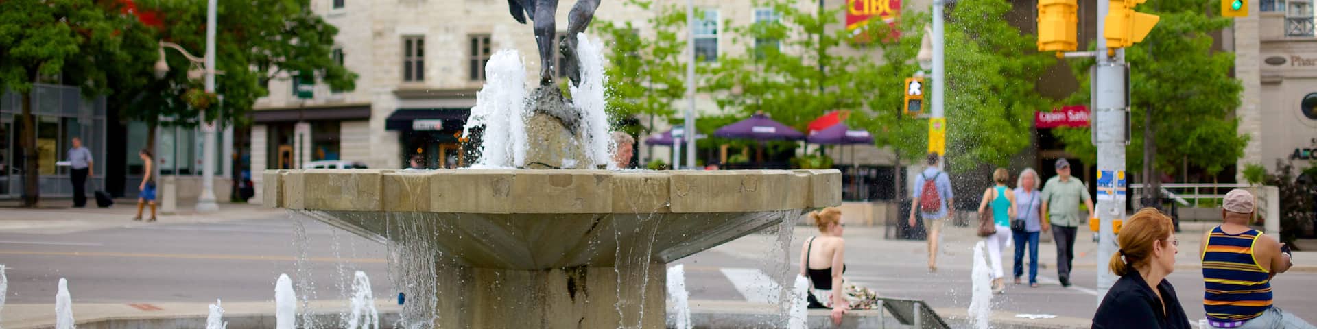 Guelph featuring a fountain, a city and a statue or sculpture