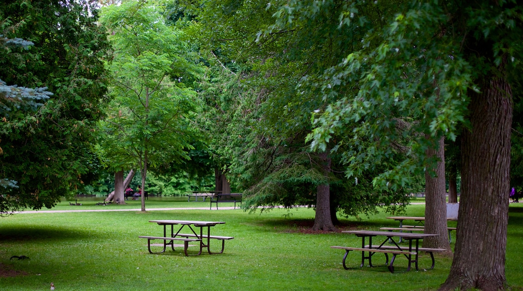 Guelph mettant en vedette jardin et forĂȘts