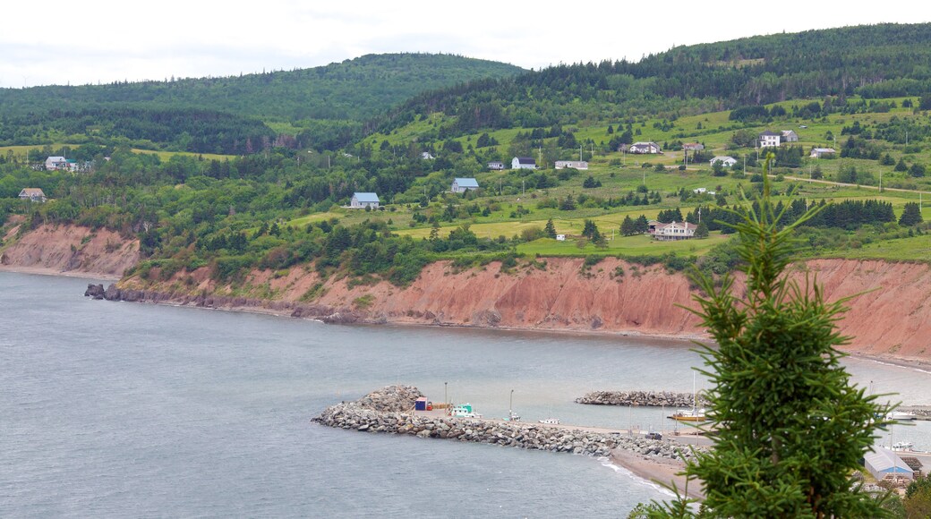 Antigonish showing general coastal views