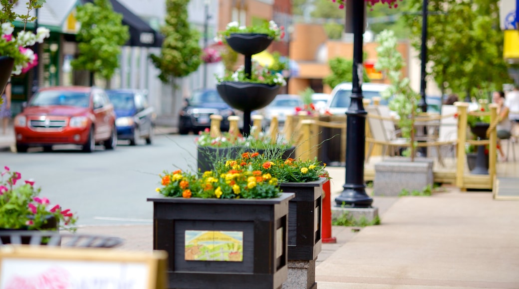 Truro showing street scenes and flowers