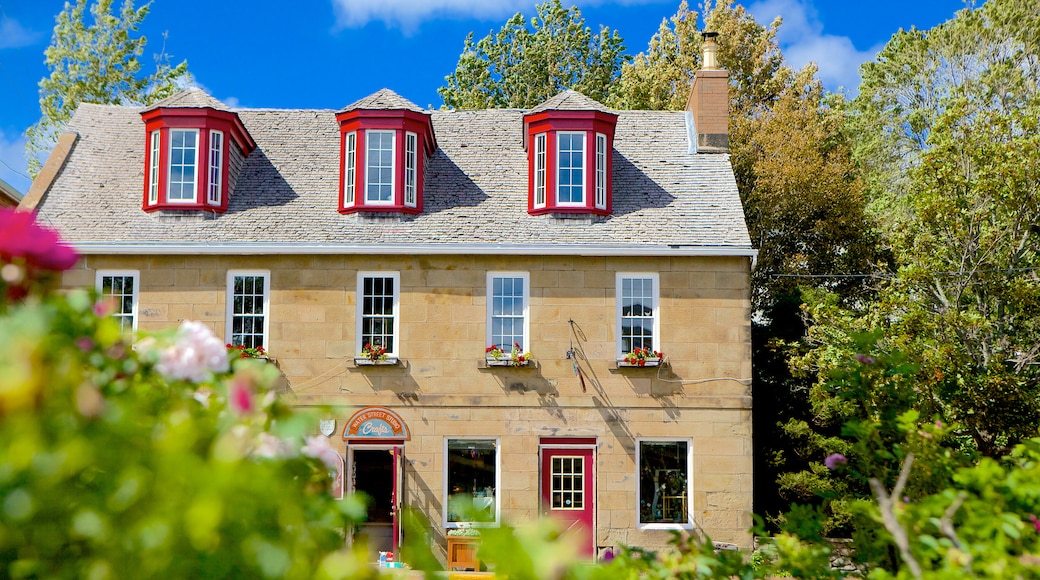 Pictou featuring a house