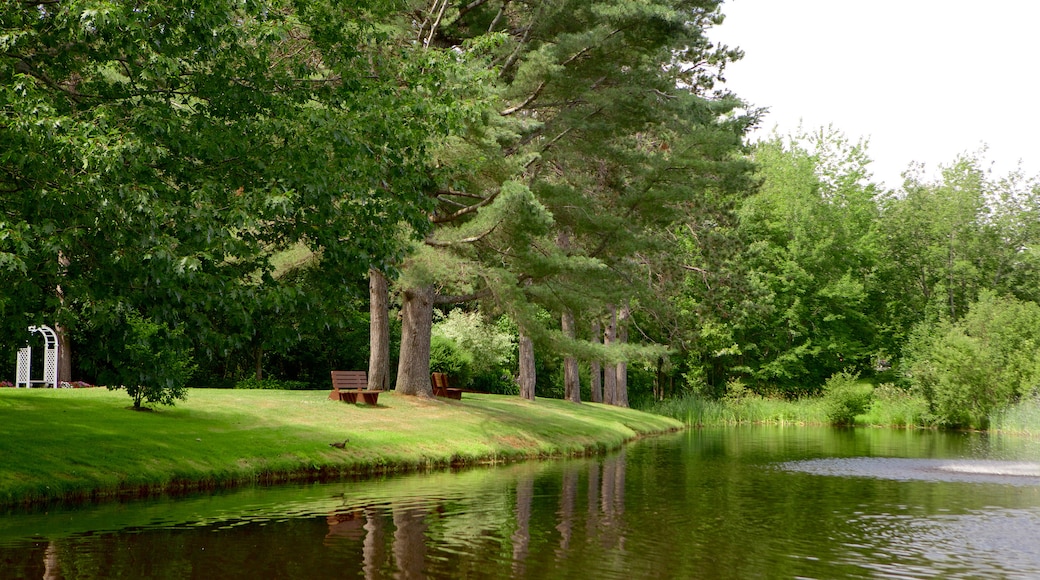 Kingston das einen Teich und Garten
