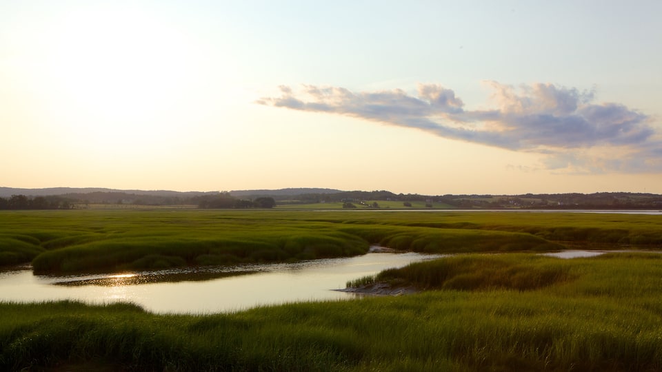 Windsor featuring landscape views, wetlands and tranquil scenes