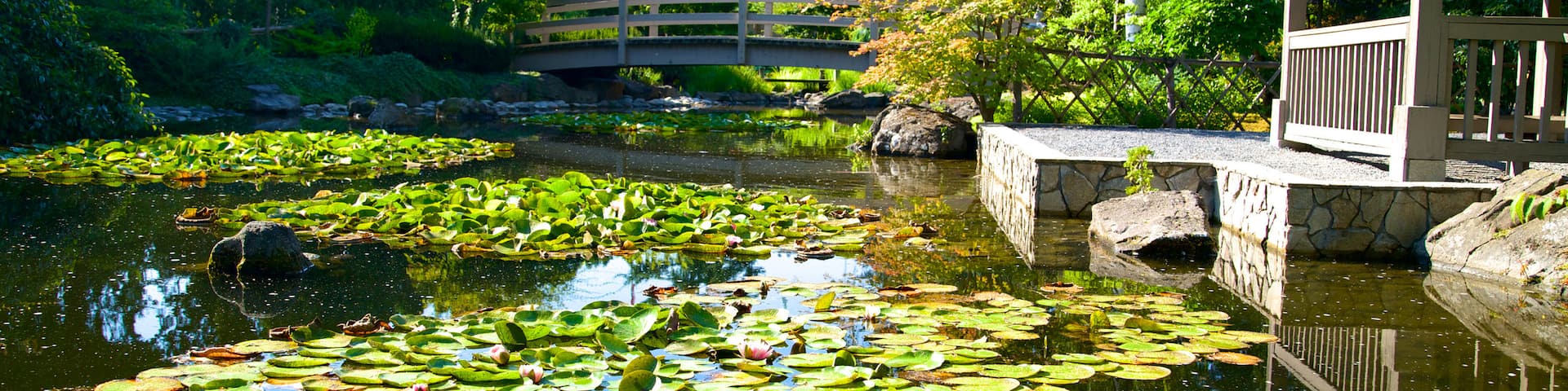 Kasugai Gardens showing a garden and a pond