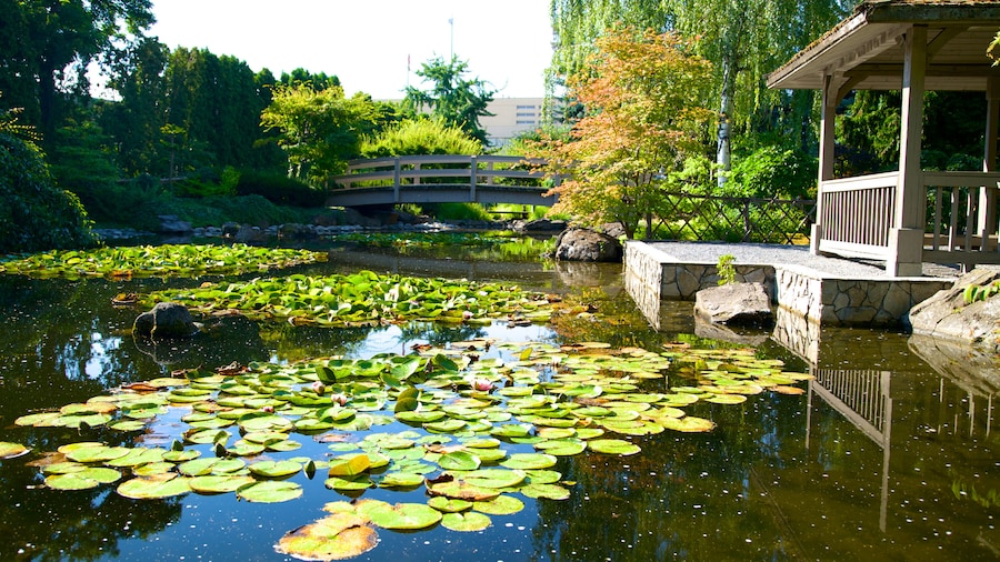 Kasugai Gardens og byder på en have og en dam
