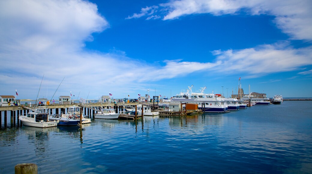 Cabo Cod que incluye paseos en lancha, vistas generales de la costa y una bahía o puerto