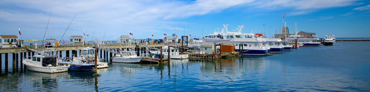 Cap Cod montrant navigation, vues littorales et baie ou port