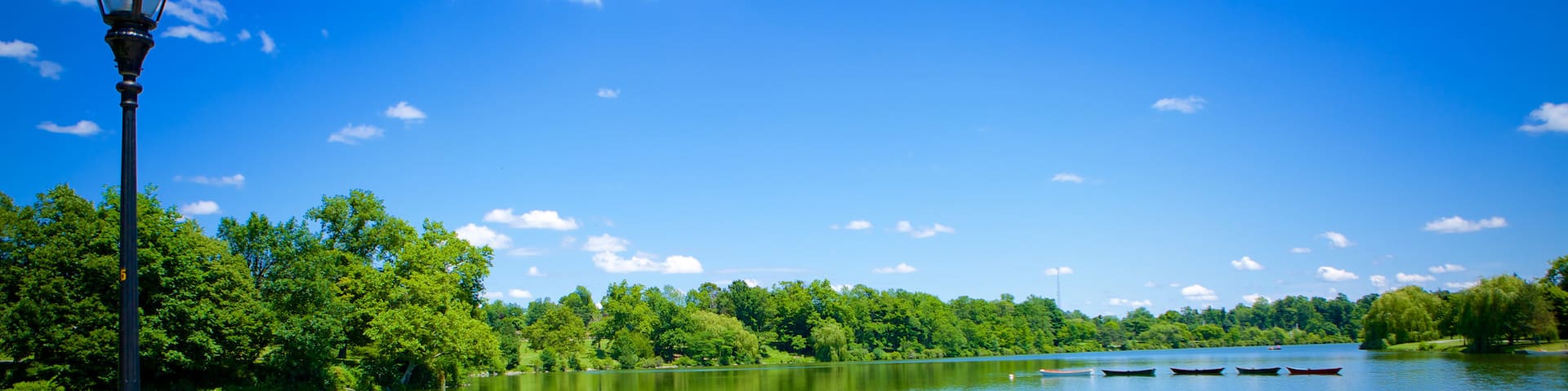 Delaware Park ofreciendo un río o arroyo y también una pareja