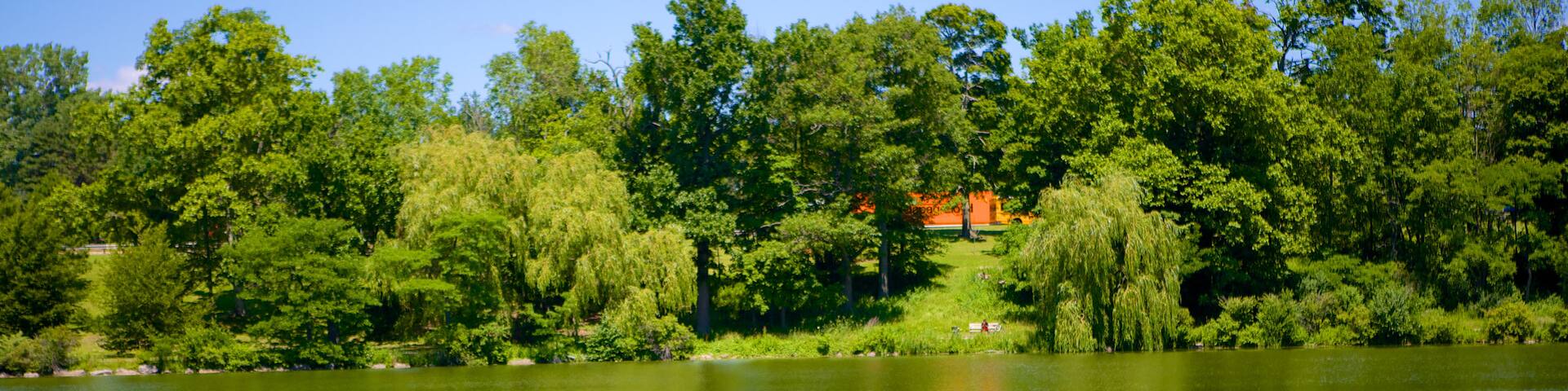 Delaware Park which includes a lake or waterhole as well as an individual female