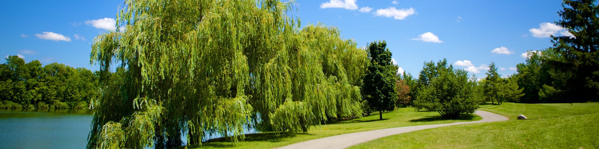 Delaware Park featuring a garden
