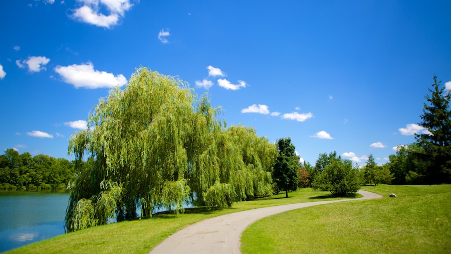 Delaware Park mostrando parco