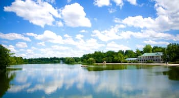 Delaware Park que inclui um lago ou charco