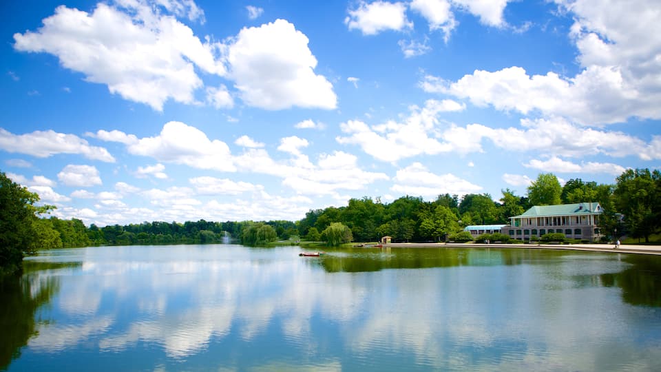 Delaware Park que incluye un lago o abrevadero
