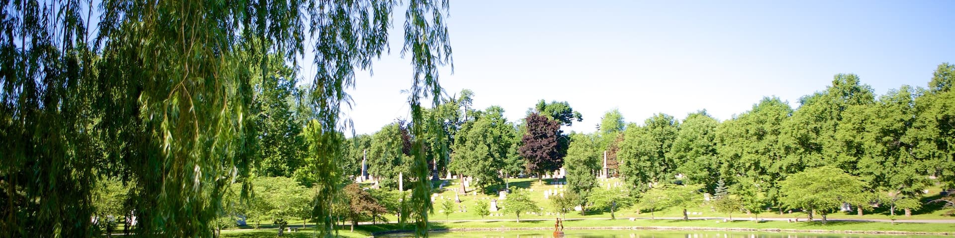 Cementerio Forest Lawn ofreciendo un lago o abrevadero