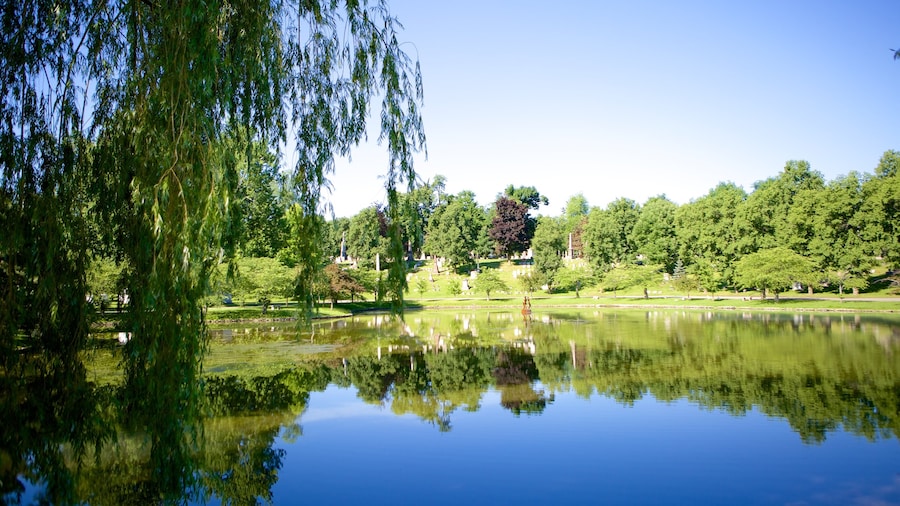 Forest Lawn Cemetery che include lago o sorgente d\'acqua